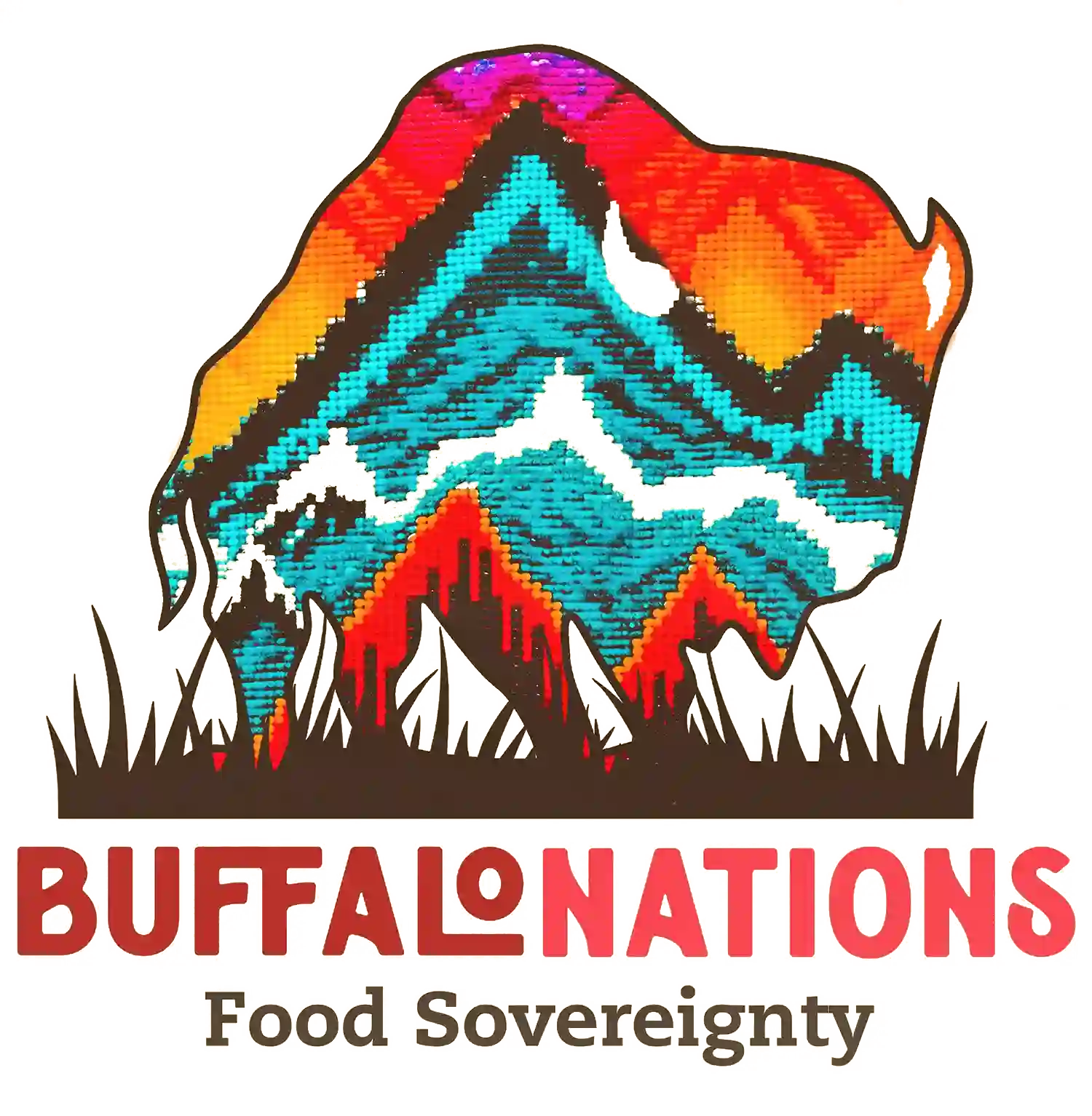 Buffalo Nations Logo Transparent