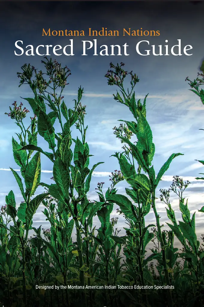 Plant Guide Cover