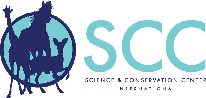 SCC LOGO CLR copy