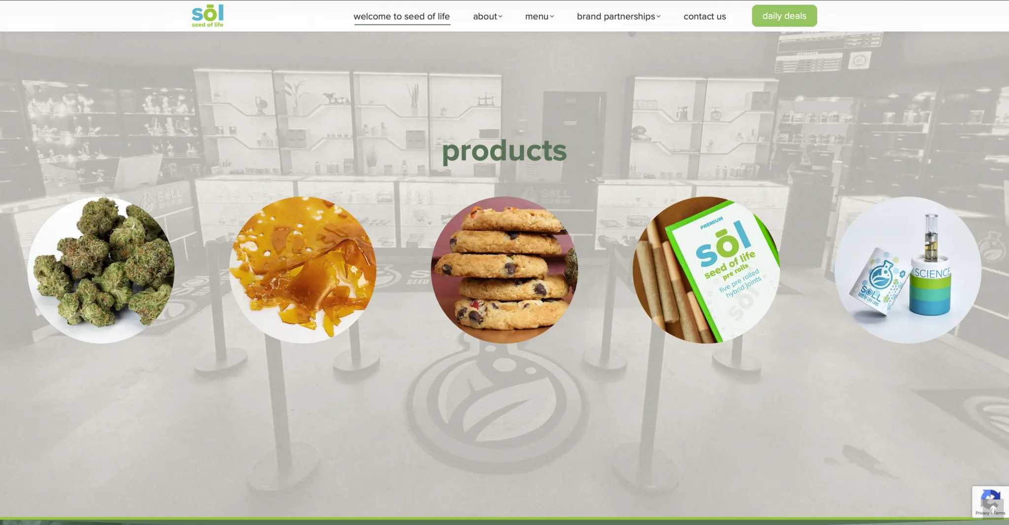 SOLL Website Design 3