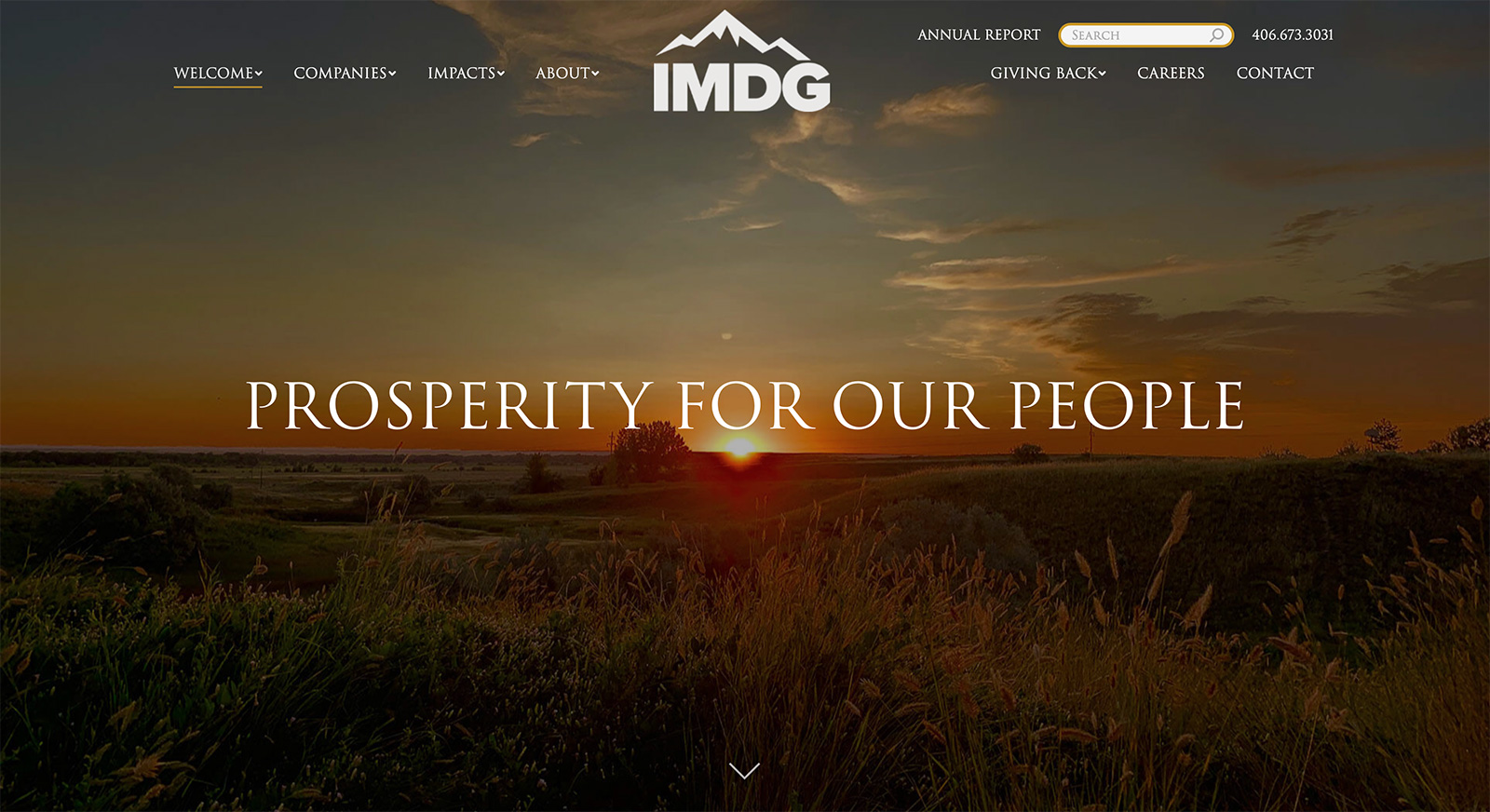 IMDG Homepage Image